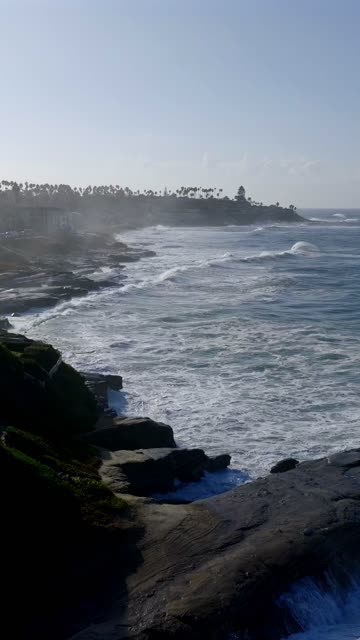 Low aerial view of the cliffs, the surf and palm trees at Beach Barber Tract.