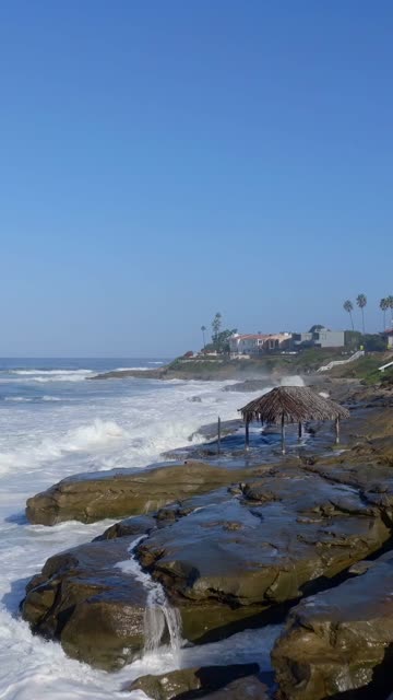 Low aerial view of the beach, the surf and palm trees at Beach Barber Tract.