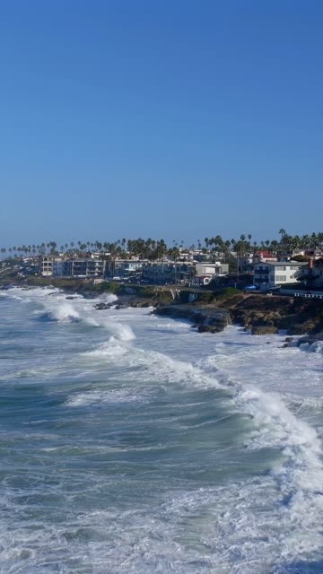Low aerial view of the cliffs, the surf and palm trees at Beach Barber Tract.