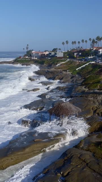 Low aerial view of the cliffs, the surf and palm trees at Beach Barber Tract.