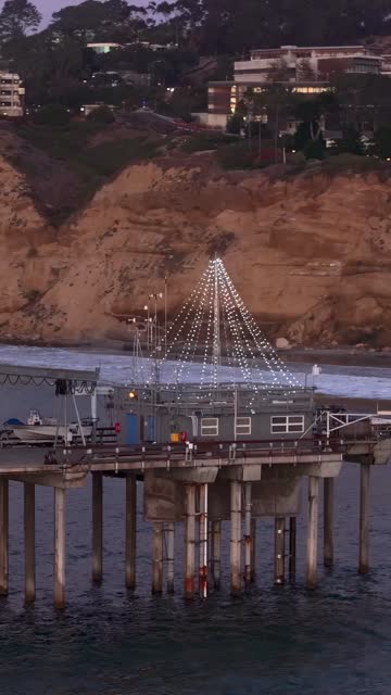 Low aerial view of the beach, the pier and the ocean at Black’s Beach.