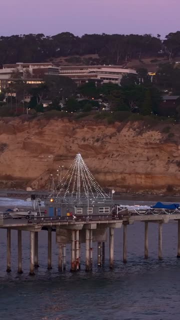 Low aerial view of the beach, the pier and the ocean at Black’s Beach.