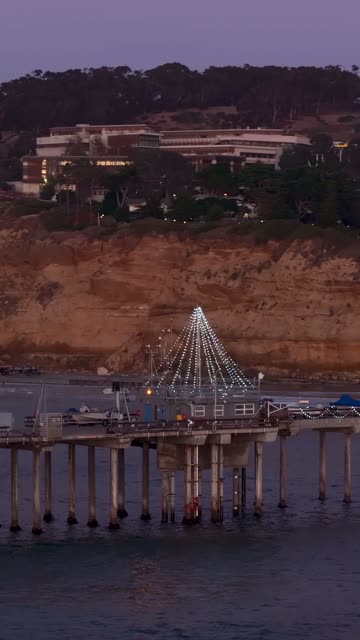 Low aerial view of the beach, the pier and the ocean at Black’s Beach.