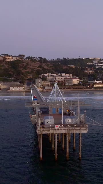 Low aerial view of the beach, the pier and the ocean at Black’s Beach.