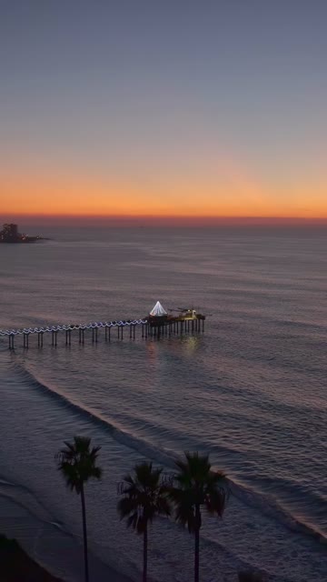 Low aerial view of the beach, the pier and palm trees at Black’s Beach.