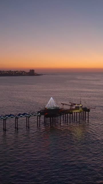 Low aerial view of the beach, the pier and the ocean at Black’s Beach.