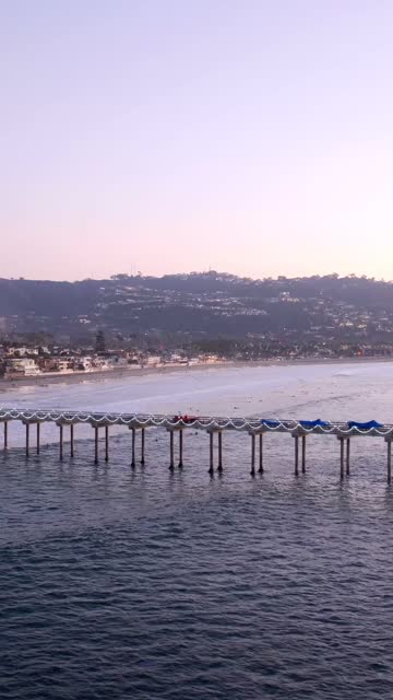 Low aerial view of the beach, the pier and the ocean at Black’s Beach.
