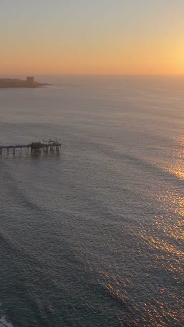 Aerial view of the beach, the pier and the ocean at Black’s Beach.