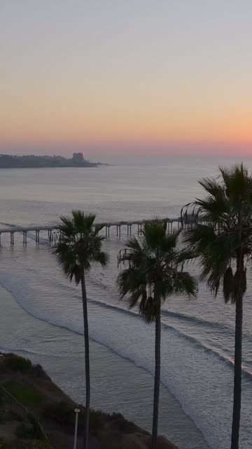 Aerial view of the beach, the pier and palm trees at Black’s Beach.
