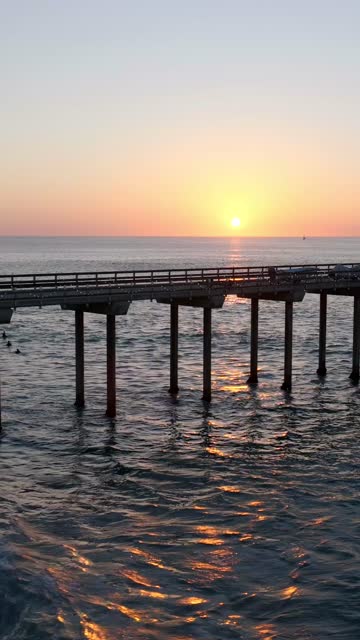 Low aerial view of the beach, the pier and the ocean at Black’s Beach, with swimmers in the water.
