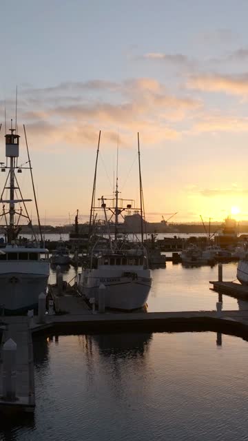 The harbor, boats and the bay at Embarcadero.