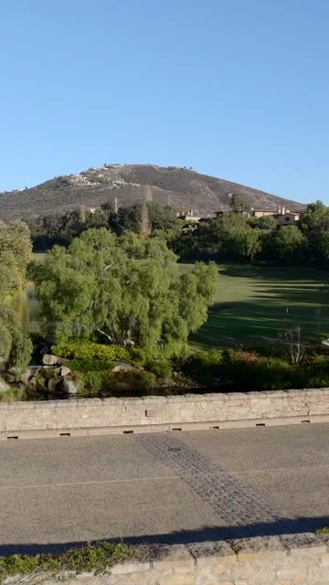 The country inland, palm trees and homes at The Bridges.