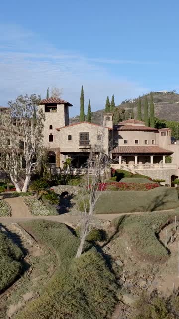 Low aerial view of the country inland, palm trees and homes at The Bridges.