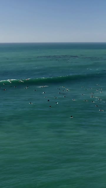Aerial view of the beach, the surf and the ocean at Swamis, with surfers out.