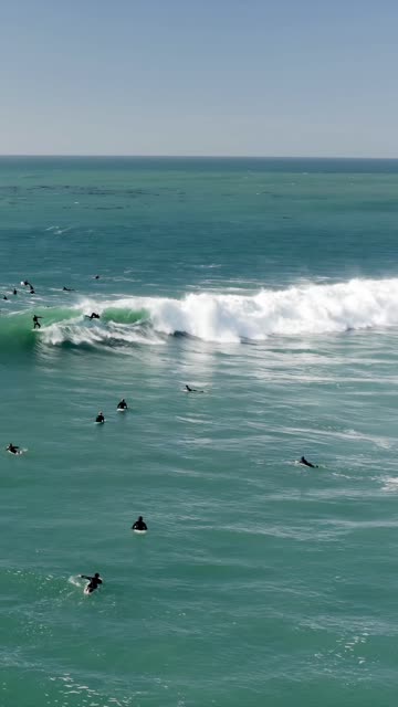 Low aerial view of the beach, the surf and the ocean at Swamis, with surfers out.