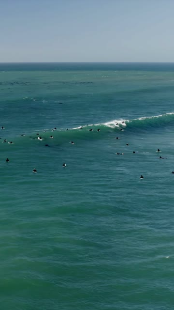 Aerial view of the beach, the surf and the ocean at Swamis, with surfers out.