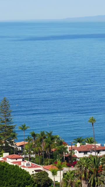 Elevated view of a residential street, palm trees and the ocean at La Jolla Cove.
