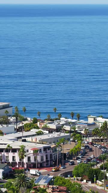 Aerial view of the downtown streets, palm trees and the ocean at La Jolla Cove.