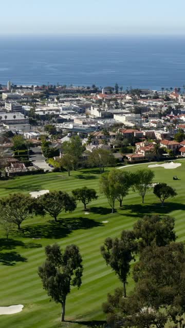 Aerial view of a residential street, palm trees and the ocean at La Jolla Cove.