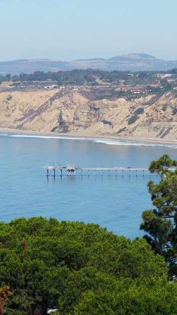 Elevated view of the cliffs, the pier and palm trees at Black’s Beach.
