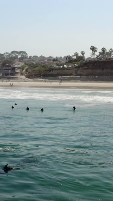 Low aerial view of the beach, the surf and wildlife at Moonlight Beach, with surfers out.