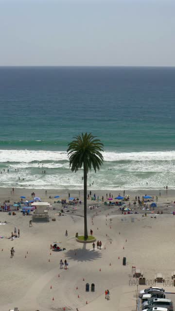 Aerial view of the beach, the surf and palm trees at Moonlight Beach, with a crowd gathered.