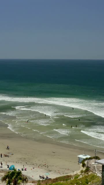 Aerial view of the beach, the surf and palm trees in Cardiff, with swimmers in the water.