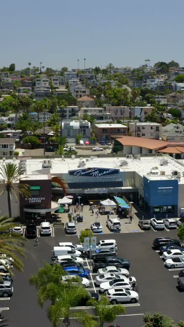 Low aerial view of a residential street, palm trees and homes in Cardiff.