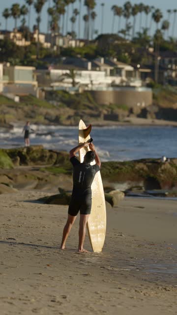 The beach, the surf and palm trees at Beach Barber Tract, with surfers out.