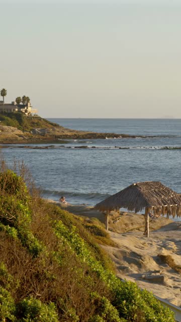 Elevated view of the beach, palm trees and the ocean at Beach Barber Tract, with people walking.