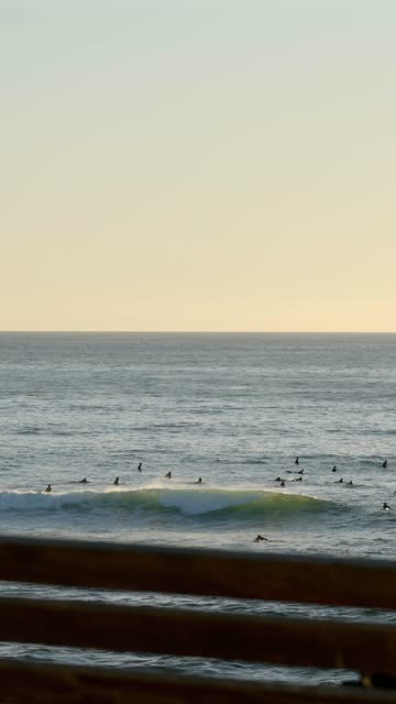 Elevated view of the beach, the surf and the ocean at Beach Barber Tract, with surfers out.