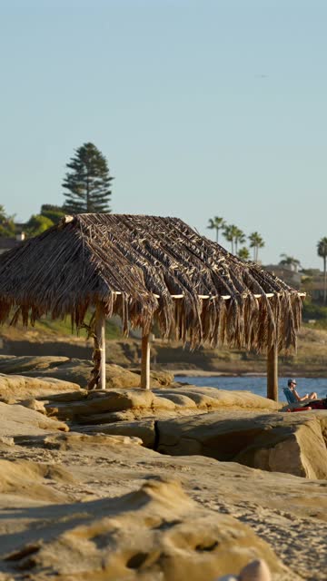 The beach, palm trees and the ocean at Beach Barber Tract.