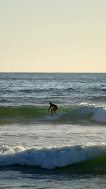 Windansea Beach La Jolla with the Surf Shack Surfers Beach Activity Wildlife and Southern California Coastal Views | Vertical Video – 13