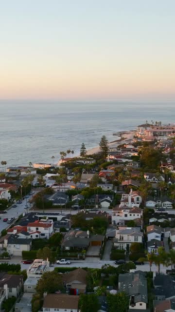 Aerial view of a residential street, palm trees and the ocean at Beach Barber Tract.