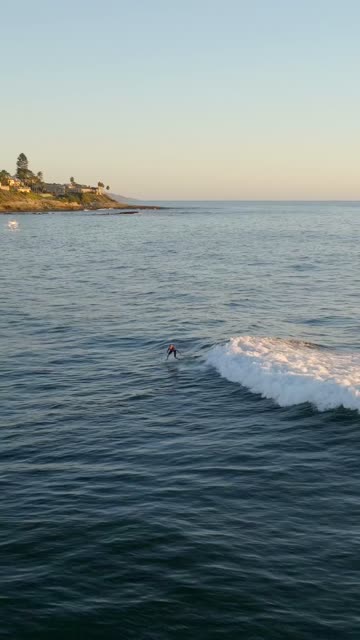Low aerial view of the beach, the surf and the ocean at Beach Barber Tract, with surfers out.