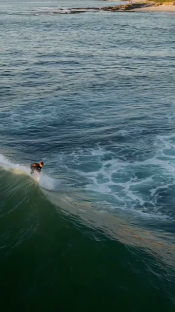 Low aerial view of the beach, the surf and the ocean at Beach Barber Tract, with surfers out.