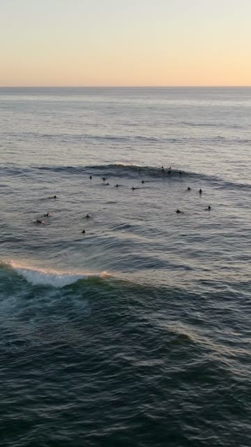 Low aerial view of the beach, the surf and the ocean at Beach Barber Tract, with surfers out.