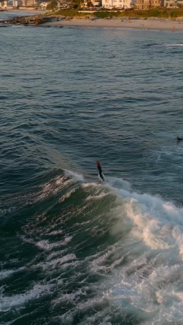 Aerial view of the beach, the surf and the ocean at Beach Barber Tract, with surfers out.