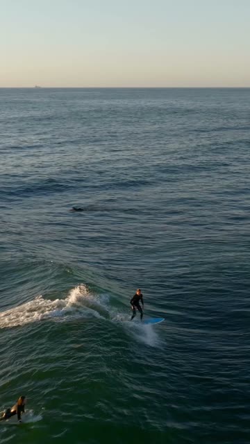 Low aerial view of the beach, the surf and the ocean at Beach Barber Tract, with surfers out.