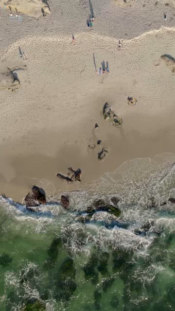 Aerial view of the beach, the surf and wildlife at Beach Barber Tract.