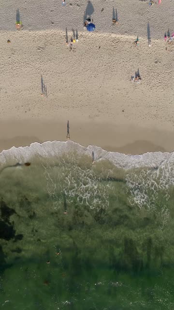Aerial view of the beach, the surf and the ocean at Beach Barber Tract, with people walking.