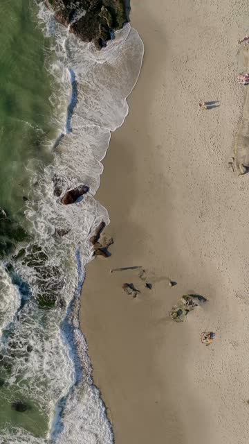 Aerial view of the beach, the surf and the ocean at Beach Barber Tract, with people walking.