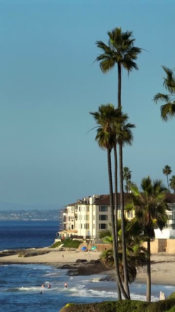 The beach, palm trees and the ocean at Beach Barber Tract, with swimmers in the water.