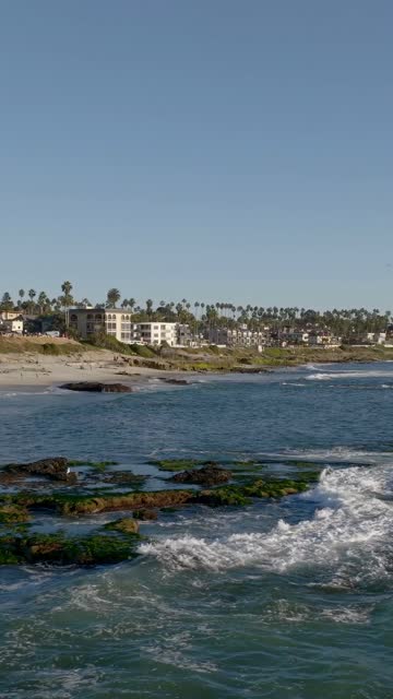 Low aerial view of the beach, the surf and palm trees at Beach Barber Tract.