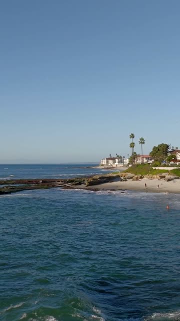 Low aerial view of the beach, palm trees and the ocean at Beach Barber Tract, with people walking.
