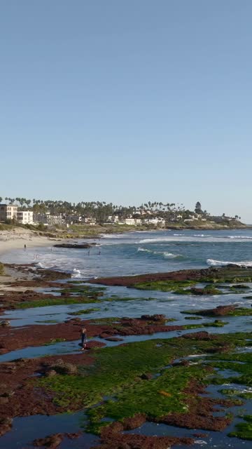 Low aerial view of the beach, the surf and palm trees at Beach Barber Tract, with people walking.