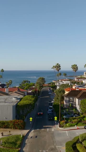 Low aerial view of a residential street, palm trees and the ocean at Beach Barber Tract.