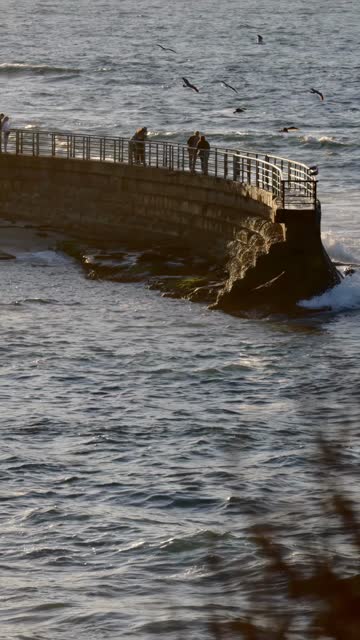 Elevated view of the cliffs, the surf and wildlife at La Jolla Cove, with people walking.