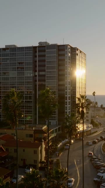 Low aerial view of a residential street, palm trees and the ocean at La Jolla Cove.