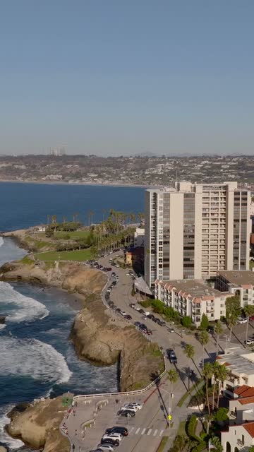 Aerial view of the cliffs, palm trees and the ocean at La Jolla Cove.